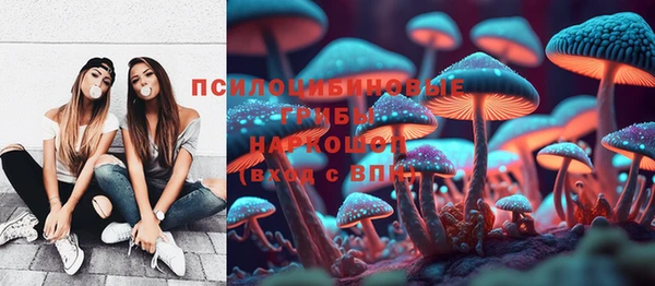 соль ск Александровское