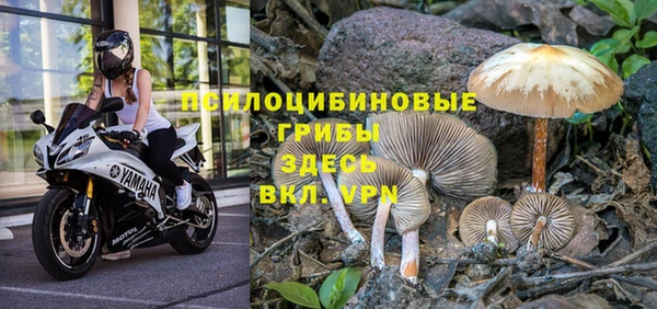 стаф Кулебаки