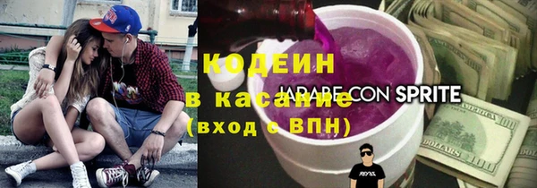стаф Кулебаки