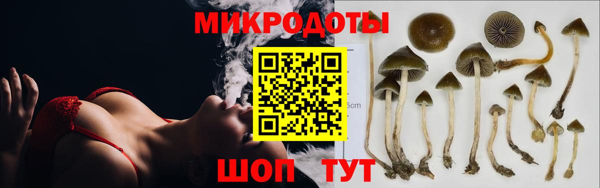 Псилоцибиновые грибы Magic Shrooms Каспийск