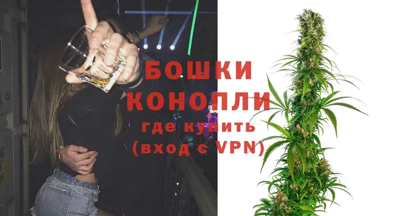 купить наркотики сайты  Каспийск  Бошки Шишки SATIVA & INDICA 